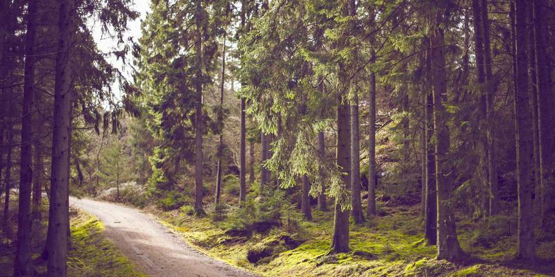 从隐性到显性：解锁团队管理知识，驱动业务流程优化