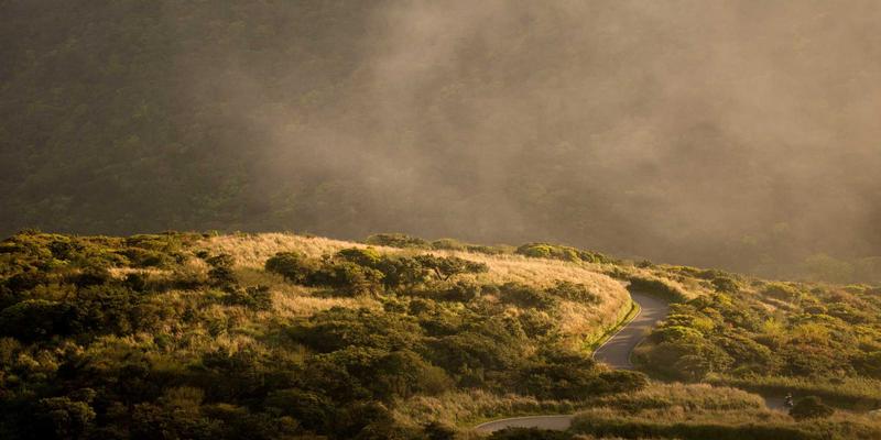 战略规划与管理知识:驱动职业成长的系统性教程