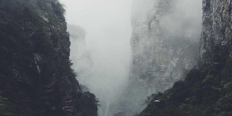 战略规划与领导力双轮驱动：运用管理知识优化决策流程，提升组织理性