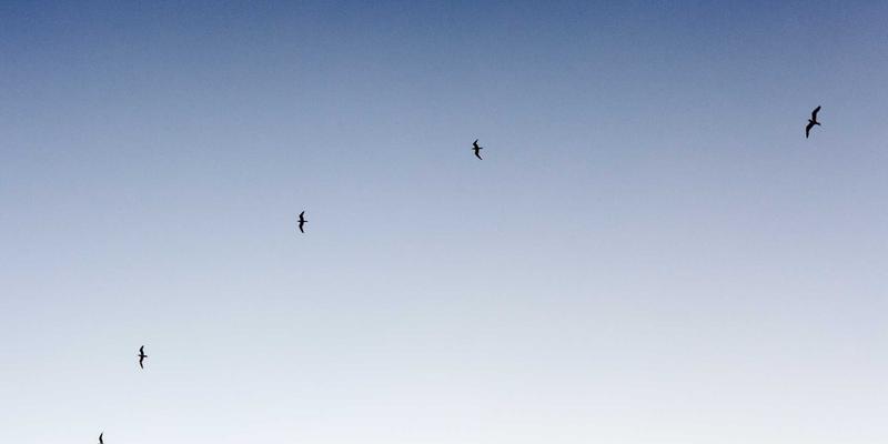 战略规划视角下的知识管理投资回报率：量化无形资产的领导力实践