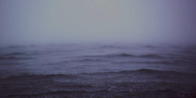 构建企业知识生态：连接个人管理技能、团队知识共享与组织战略规划