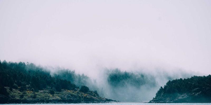 管理心理学赋能知识共享：激发员工主动贡献与学习的团队管理技能