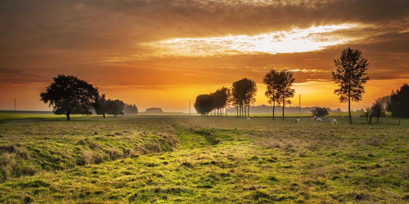 管理技能与团队管理：变革领导如何引领组织平稳度过转型期