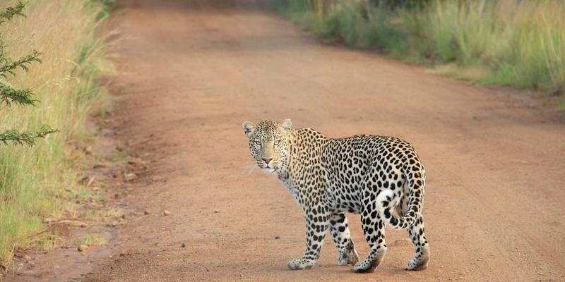 管理技能进阶：如何通过知识管理塑造学习型组织文化，驱动职业成长与领导力提升
