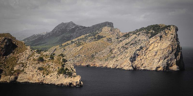 管理知识21：解锁职业发展的核心管理技能体系