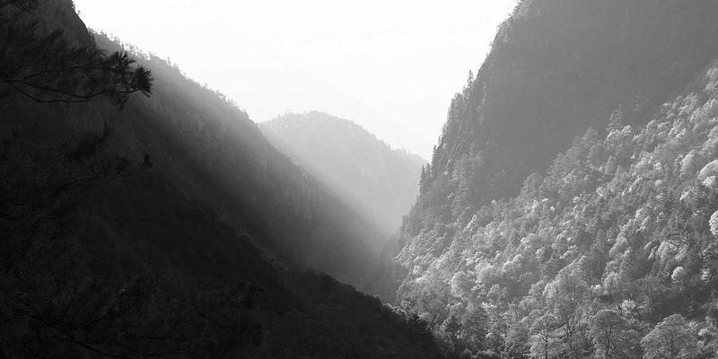 管理知识29：掌握核心管理技能，驱动职业成长与高效团队管理