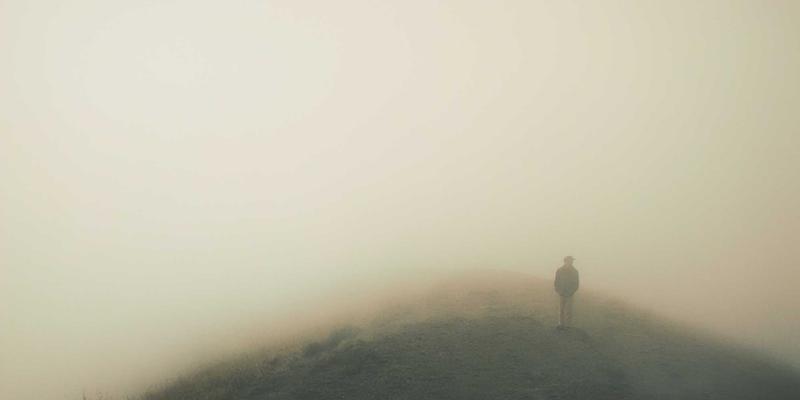 管理知识85：职业发展、领导力与团队管理的三维进阶法则