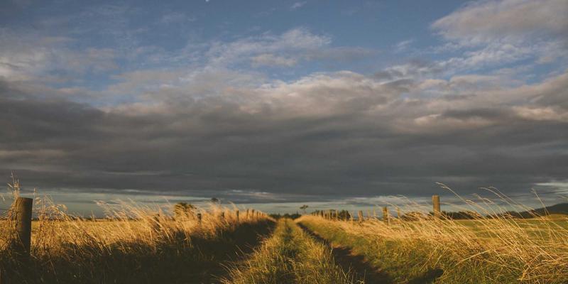 管理知识最佳实践：构建高效团队的领导力核心