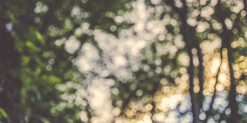 管理知识赋能风险防控：如何运用管理技能制定高效的业务连续性计划