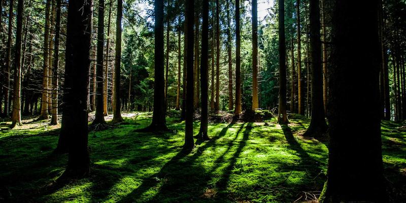 管理知识进阶：以战略规划引领团队，驱动职业持续成长