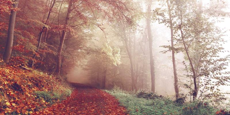 职业成长必修课：三步构建你的管理知识体系，系统提升管理技能