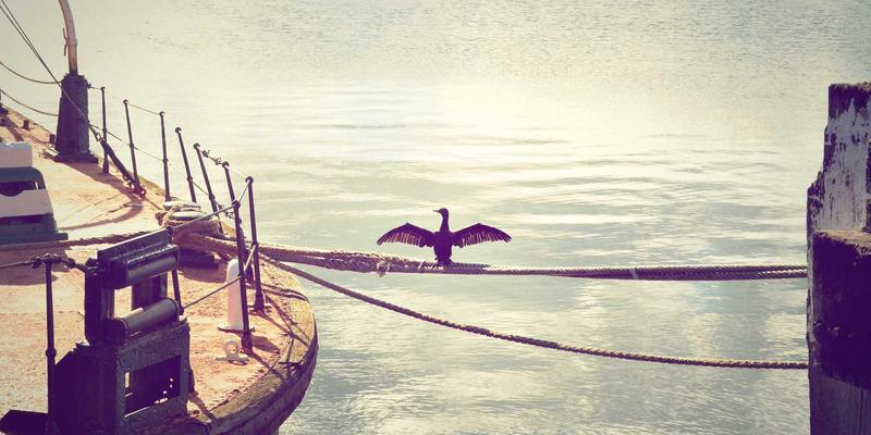 职业成长必修课：用OKR对齐战略目标与团队知识行动，提升管理技能